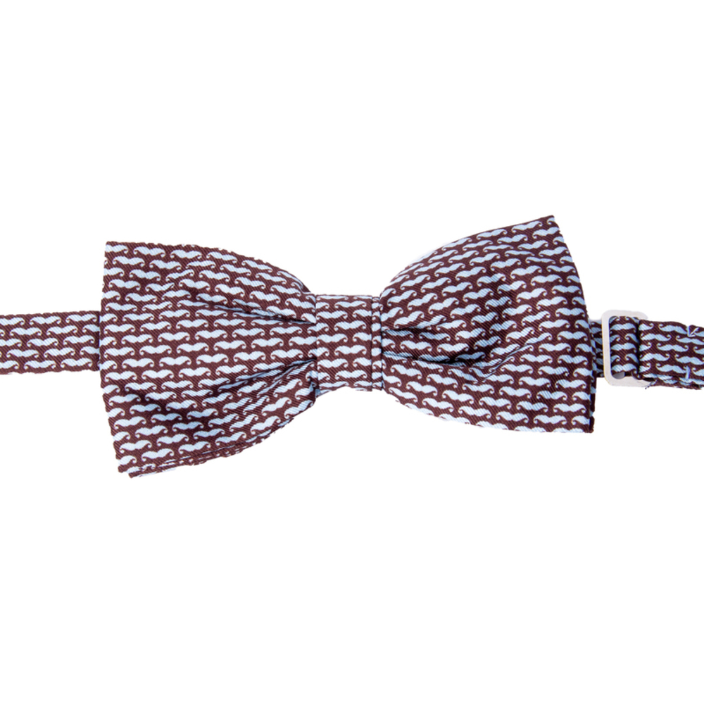 FEFE BROWN & SKY BLUE BOWTIE | MENS